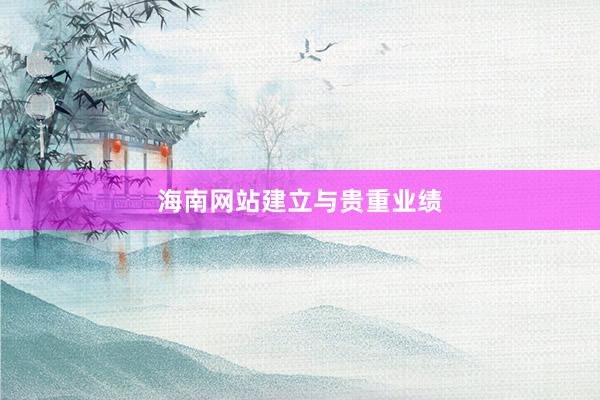 海南网站建立与贵重业绩